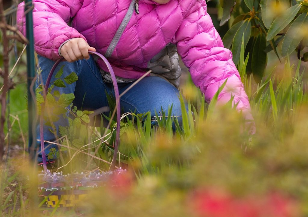 Niña recogiendo huevos de chocolate Niña recogiendo huevos de chocolate