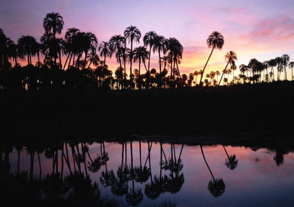 Parque Nacional El Palmar