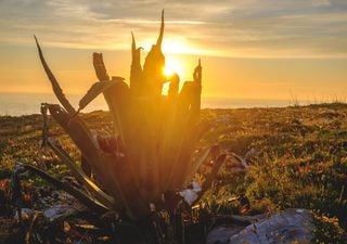 Semana de tempo estável: o sol e o calor, por fim?