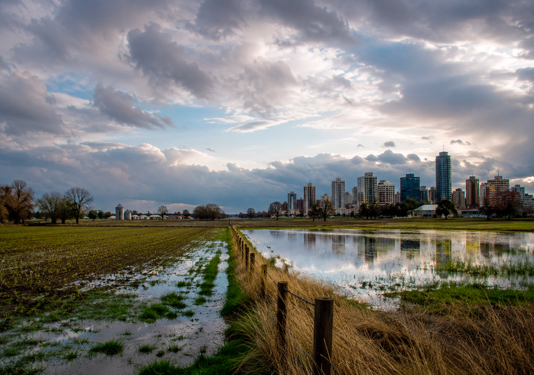 &iquest;Se&ntilde;ales tempranas de El Ni&ntilde;o o din&aacute;mica normal de la atm&oacute;sfera?: el clima de agosto en Argentina seg&uacute;n el ECMWF