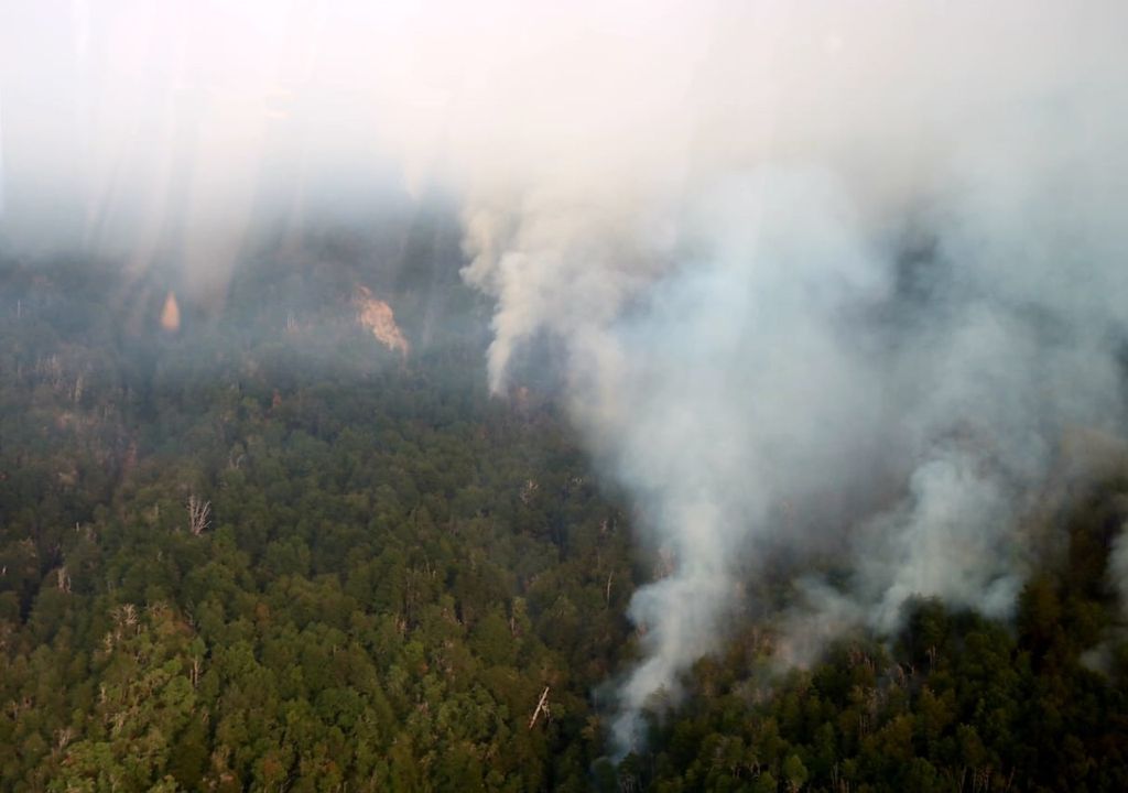 Incendio forestal Troyo