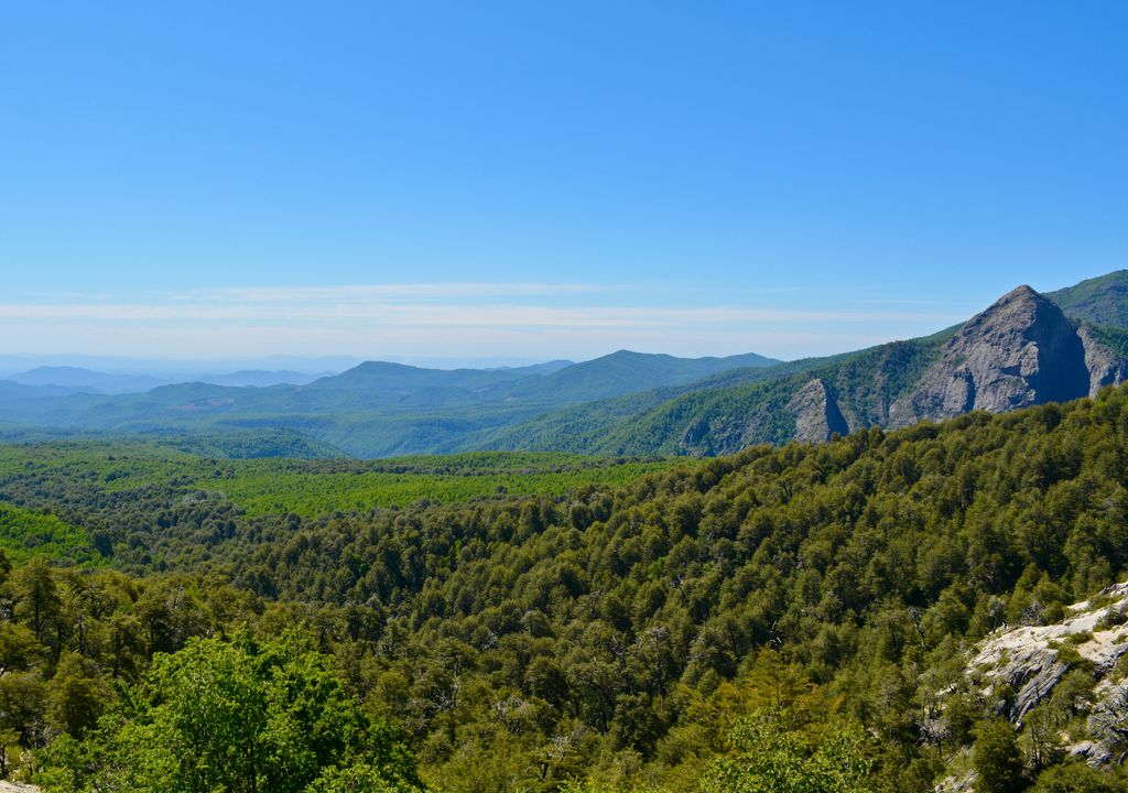Reserva Nacional Altos de Lircay, Región del Maule. Reserva Nacional Altos de Lircay, Región del Maule.