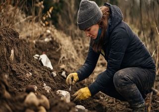 Sensationsfund in Frankfurt: Dieser Entdeckung zwingt uns, die christliche Geschichte neu zu schreiben