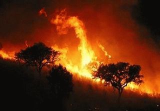 Sensores de visión inteligente para la detección temprana de incendios