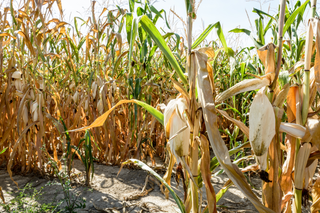 September drought update: Ohio and West Virginia remain in prolonged record setting drought 