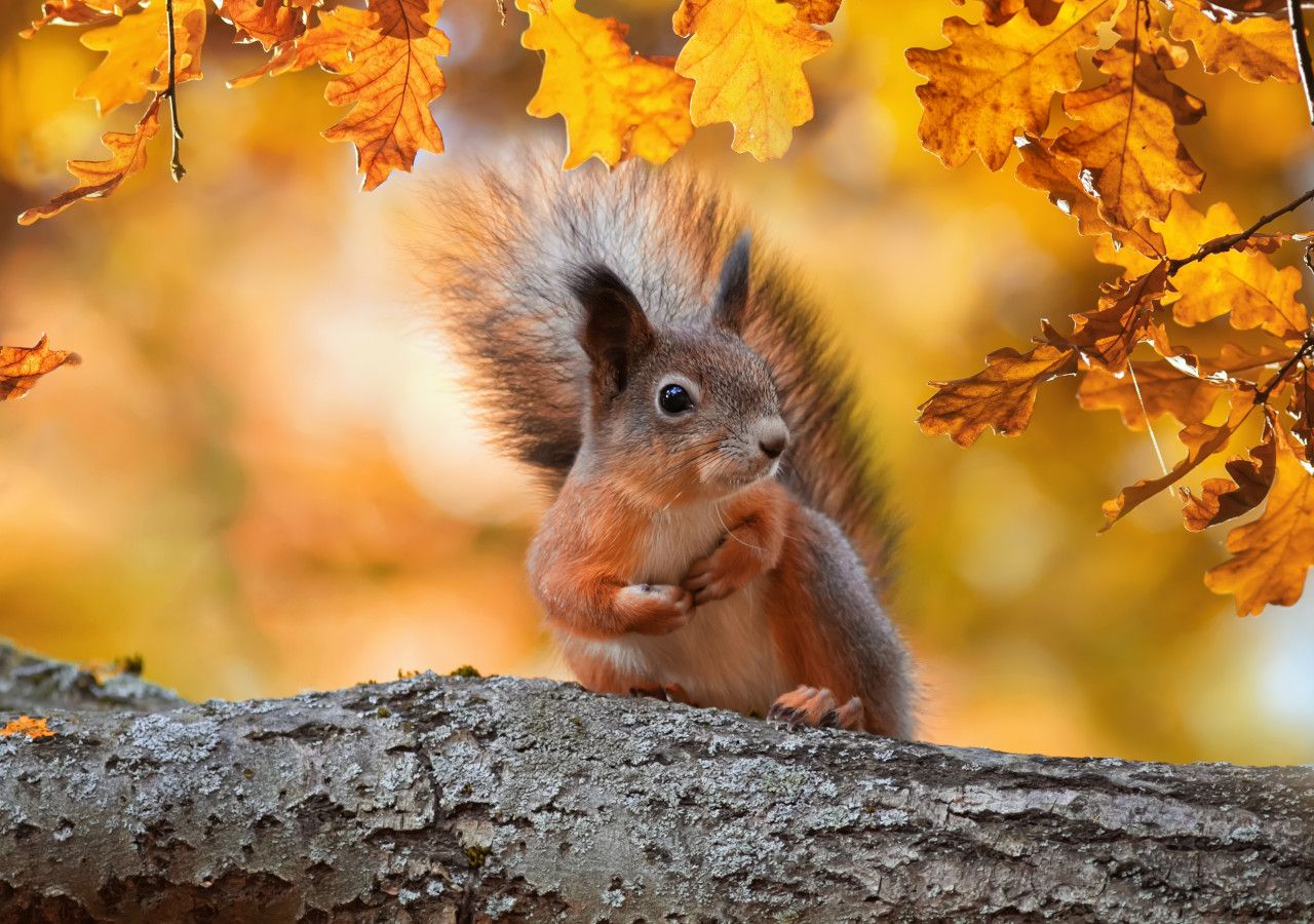 The UK weather outlook for September 2021