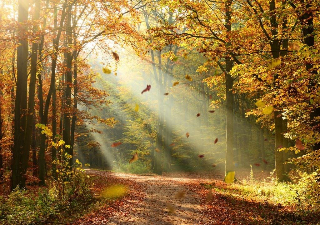 Auch der Herbst kann seine schönen und vor allem warmen Seiten haben, wie wir in der nächsten Zeit sehen werden