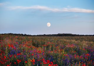 Septiembre de equinoccio: ¡este será un mes de increíbles eventos astronómicos! Incluye estos en tu agenda