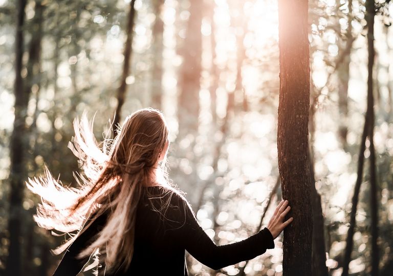 Mujer en un bosque contemplando el atardecer Mujer en un bosque contemplando el atardecer