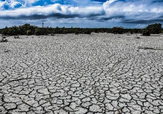 Sequía afecta al norte y noroeste del país