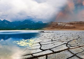 Sequía en Chile: localidad más austral del mundo se quedó sin agua potable