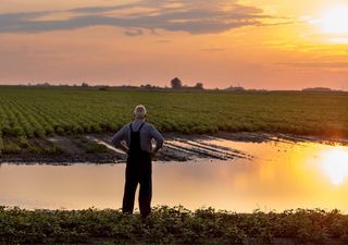 Sequía en Chile ¿sería una estrategia sostenible infiltrar la tierra?