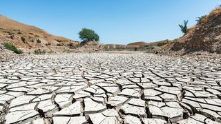 Sequía en el oeste de EE. UU., la peor en 1.200 años