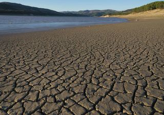 Sequía en México 2025: CONAGUA publica información preocupante con medio año de estiaje, ¿qué significa?