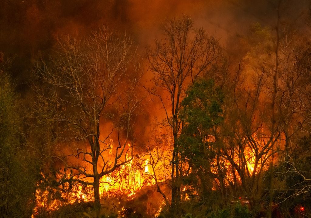 incendios