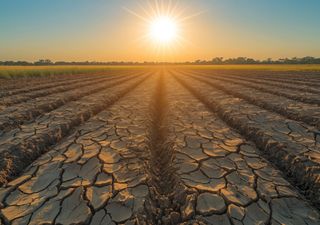 Sequía global despierta alarma en el agro: cómo la “atmósfera sedienta” está secando los campos