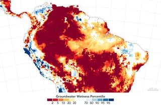 Una sequía intensa y generalizada afecta a Sudamérica impactando en la vida de la región