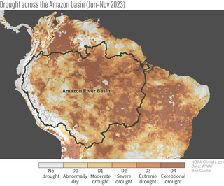 L’attuale siccità record nell'Amazzonia potrebbe essere il segno di un “punto di non ritorno” nell'area