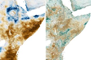 La sequía en Somalia podría provocar 135 muertes al día