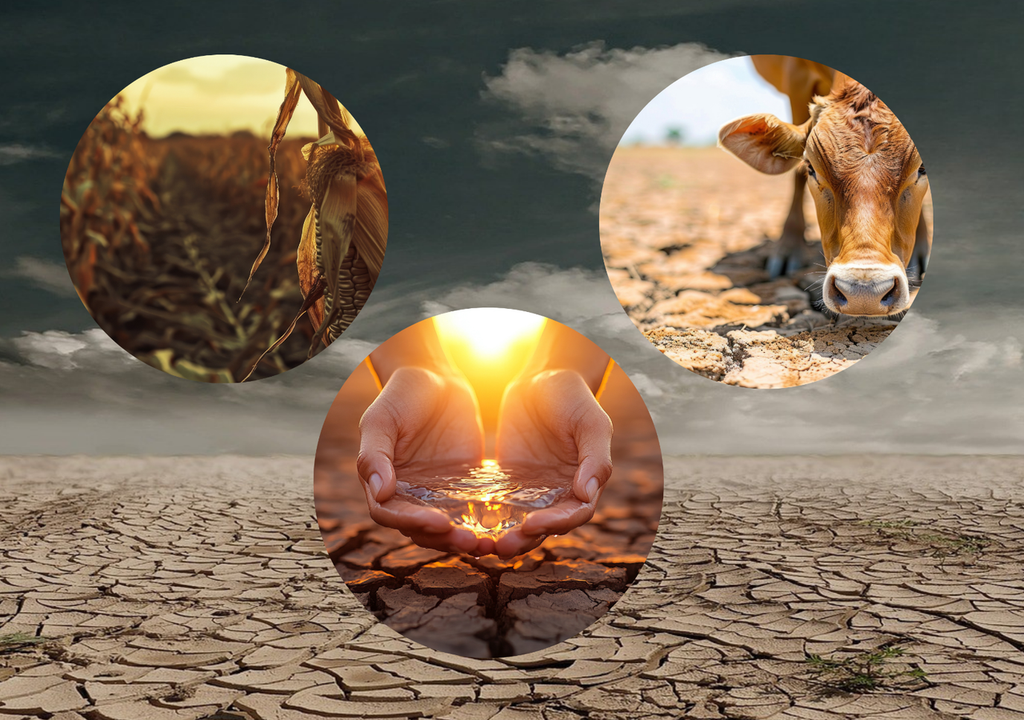 sequia;estiaje;crisis;agua;estrés hídrico; México sequia;estiaje;crisis;agua;estrés hídrico; México