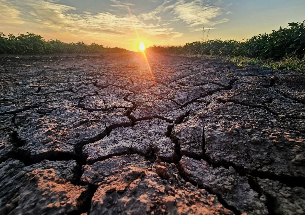 sequia Durante los episodios intensos de El Niño, regiones como Australia, Indonesia y el sur de África pueden registrar déficits de lluvias, pérdida de cultivos y mayor riesgo de incendios.