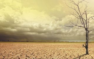 Sequías: Lanzamiento del Proyecto SISSA