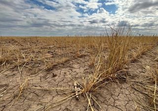 ¿Estamos entrando en un ciclo de sequías más frecuentes y prolongadas?