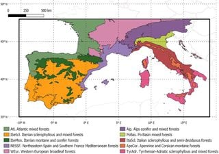 Las sequías y las olas de calor reducen la capacidad de las plantas para absorber CO₂, según un estudio de la UAB