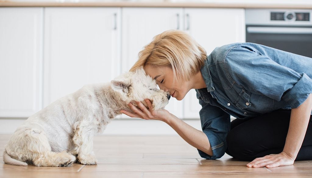 La conexión entre perros y humanos se remonta a más de 15.000 años. Ambas especies han desarrollado una habilidad única para leer las emociones, expresiones faciales y el lenguaje corporal del otro.