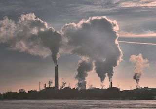 Será a pandemia benéfica para o meio ambiente?