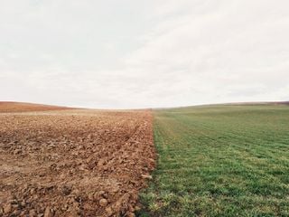 Será possível 'cultivar' água?