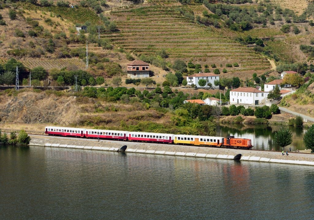 MiraDouro MiraDouro