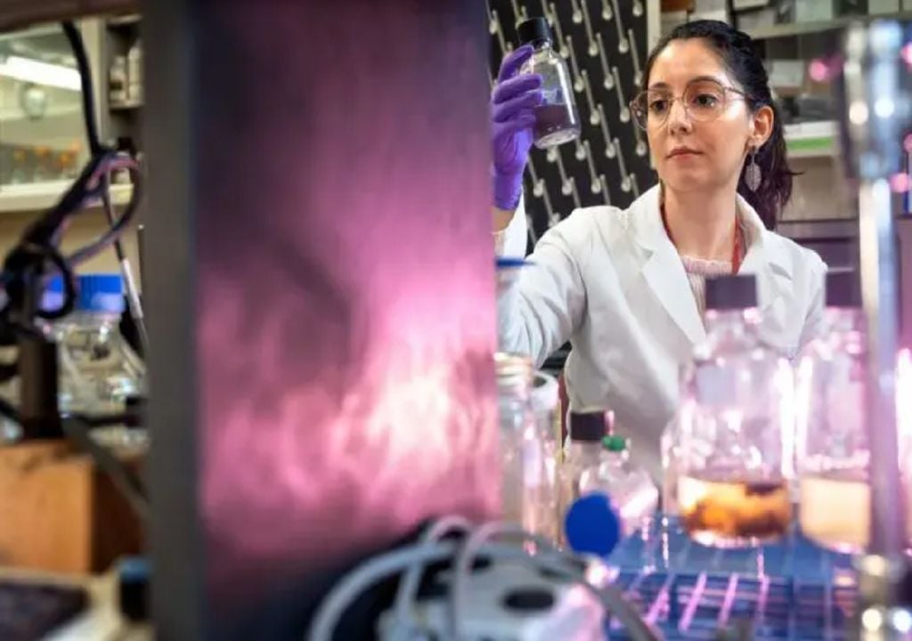 Lígia Fonseca Coelho, astrobióloga da Universidade de Cornell