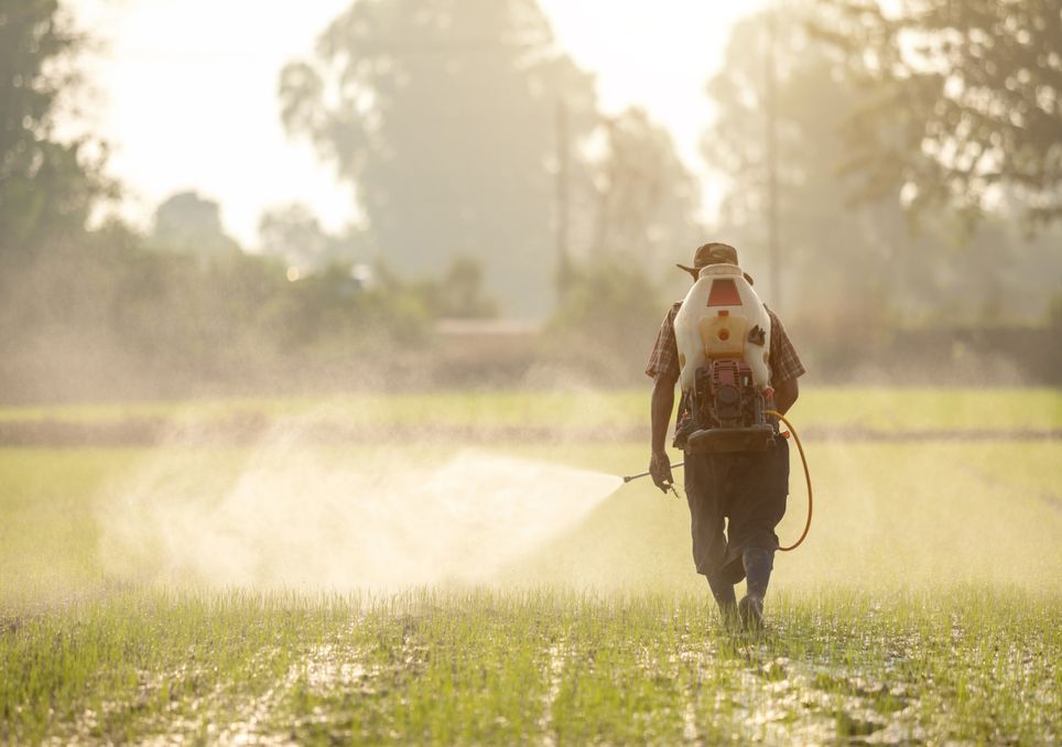 Serão os pesticidas motivo de preocupação?