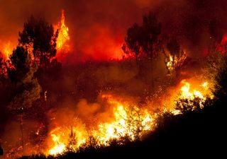 70 incendios ocurrieron a lo largo de Chile en histórico día de calor