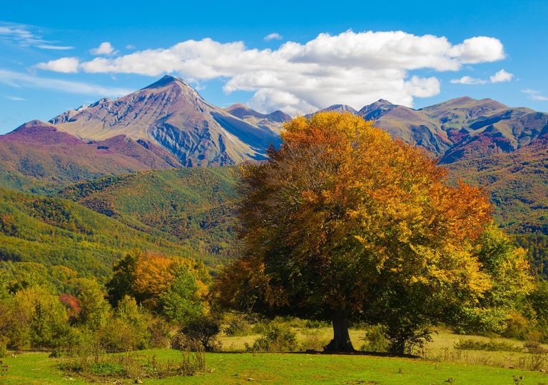 Settembre Quando L Equinozio D Autunno