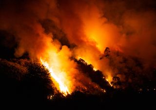 Histórica ola de calor en Chile, alerta de muchos incendios: videos