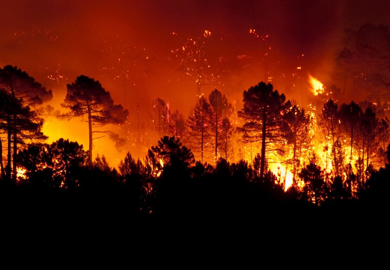 Several Large Wildfires Raging In The West Including California S Several Large Wildfires Raging In The West Including California S Biggest Of 2025 As Region S Drought Deepens 1751727868587 1280 