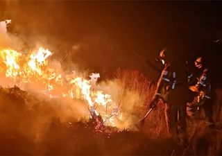 Incêndios florestais na Bolívia: quais os riscos para as pessoas e as áreas de reserva natural?