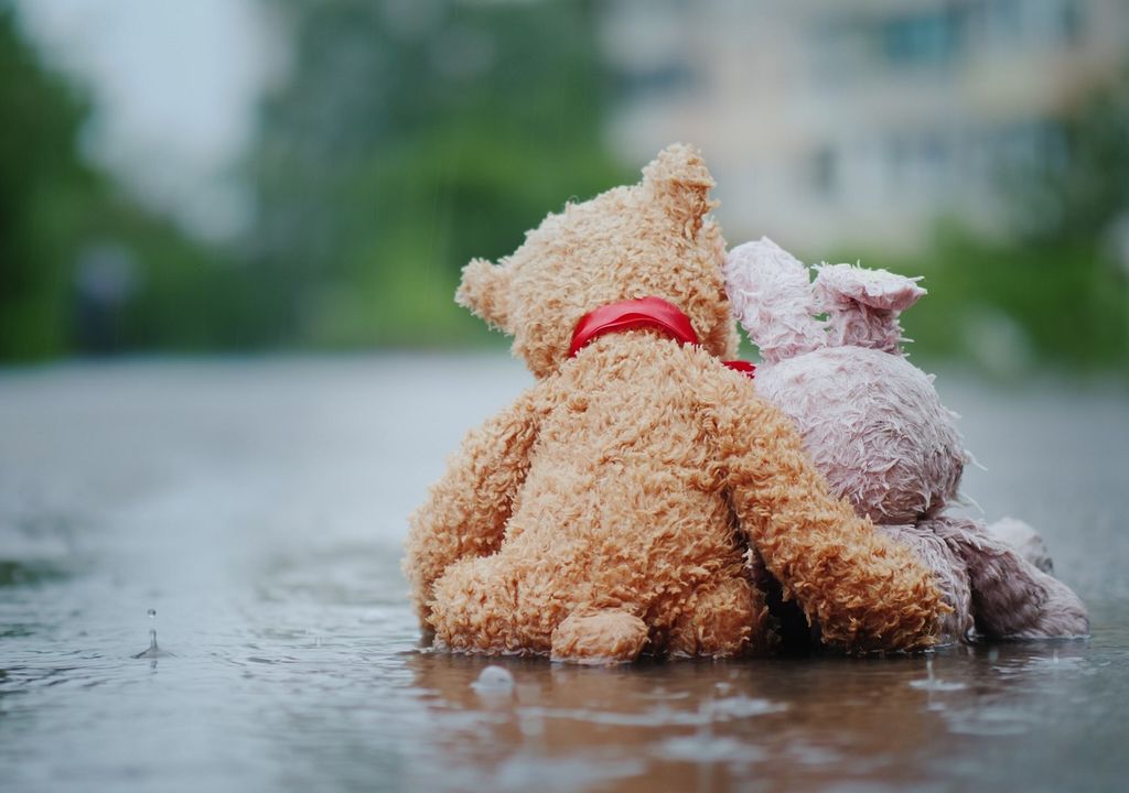peluches tristes; lluvia peluches tristes; lluvia