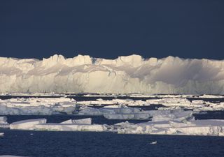 Deshielo antártico sería irreversible ante episodios de El Niño extremos