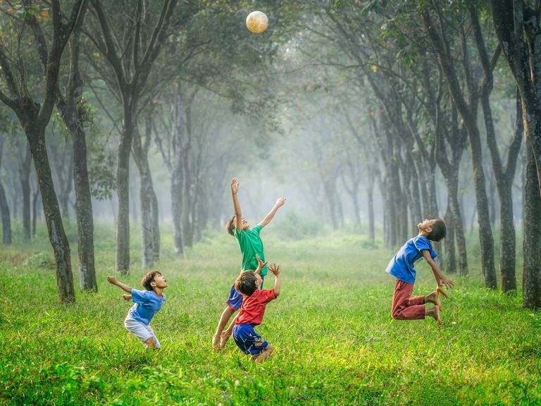 amigos, naturaleza, felicidad, calor, aire libre, amigos, naturaleza, felicidad, calor, aire libre,