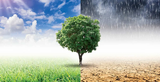 Si superamos los 1,5 ℃, ¿entonces qué?