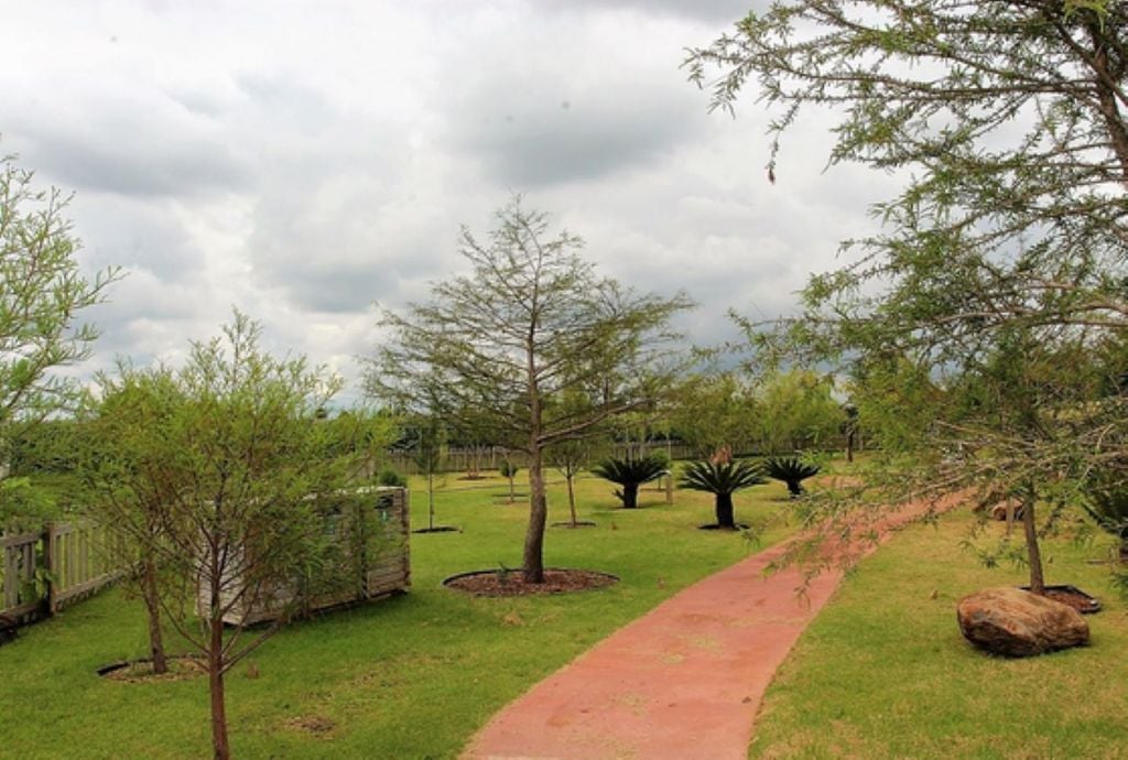 El arboreto muestra las especies actuales divididas por tipo de vegetación. Foto cortesía de la Comisión Nacional Forestal.
