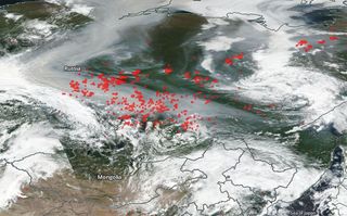 Siberia arde