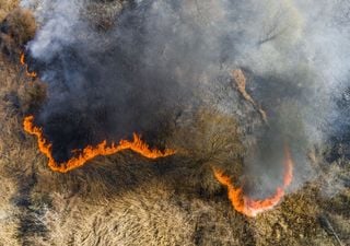 La ola de calor en Siberia es reforzada por el impacto antropogénico