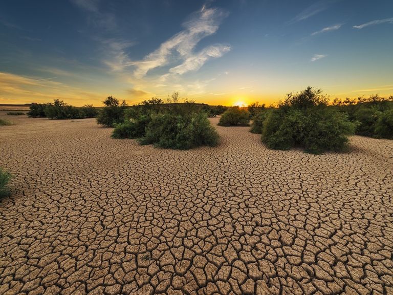 Sequía, drought, Sydney, Australia, Nueva Gales del Sur, El Niño, ENSO, cambio climático, climate change, warm Sequía, drought, Sydney, Australia, Nueva Gales del Sur, El Niño, ENSO, cambio climático, climate change, warm
