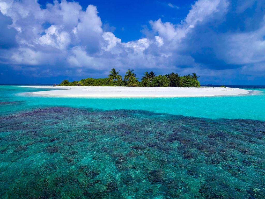 Es könnte schlimmer kommen: Traumlandschaft mit emanzipierter Gemüseküche. Foto: Adobe Stock