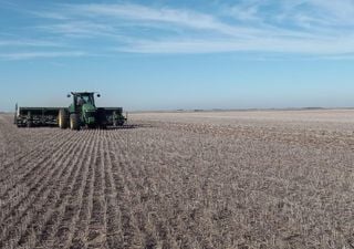 La siembra de trigo y cebada comenzó “a todo ritmo” en la Argentina, pero hay demoras en la cosecha gruesa