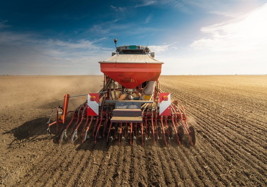 trigo campaña trigo campaña